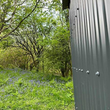 Cornwall Woodland Shepherd'S Hut - Dennis Hut Bodmin Luaran gambar