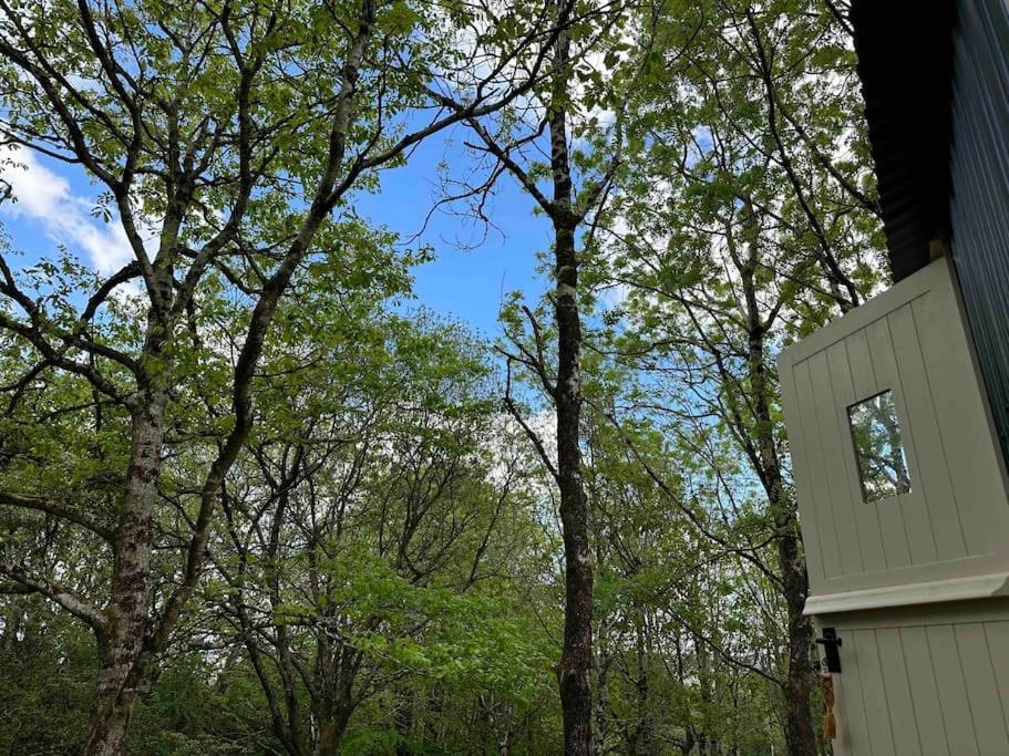 Cornwall Woodland Shepherd'S Hut - Dennis Hut Bodmin Luaran gambar