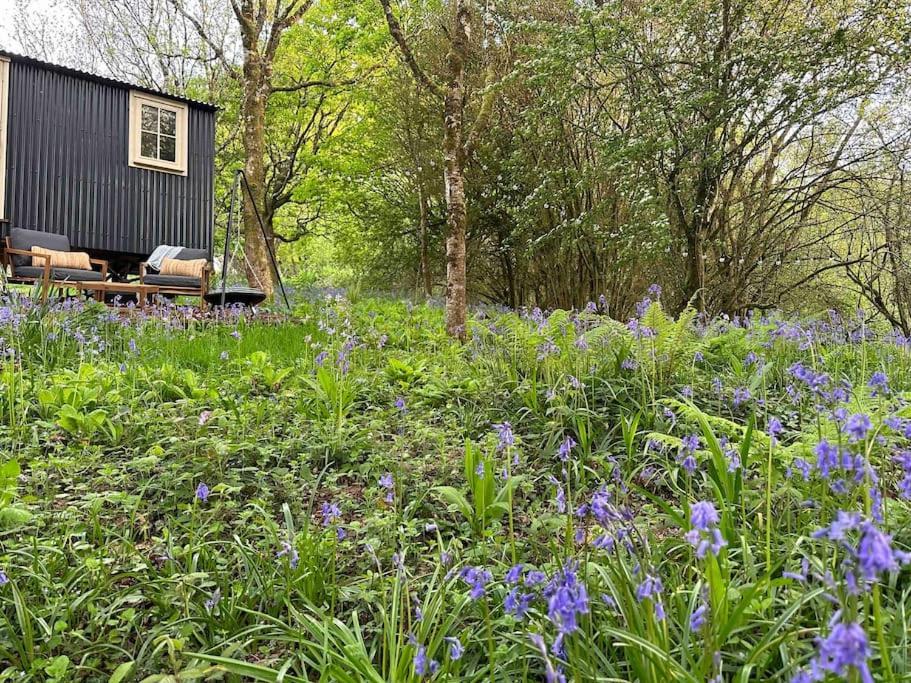 Cornwall Woodland Shepherd'S Hut - Dennis Hut Bodmin Luaran gambar
