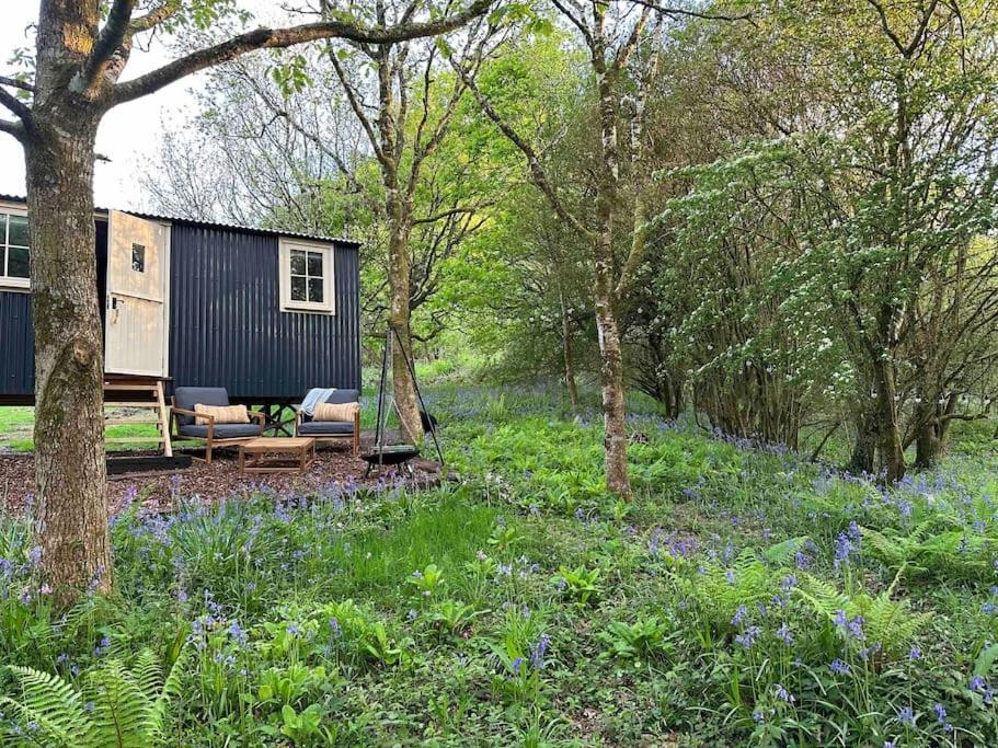 Cornwall Woodland Shepherd'S Hut - Dennis Hut Bodmin Luaran gambar