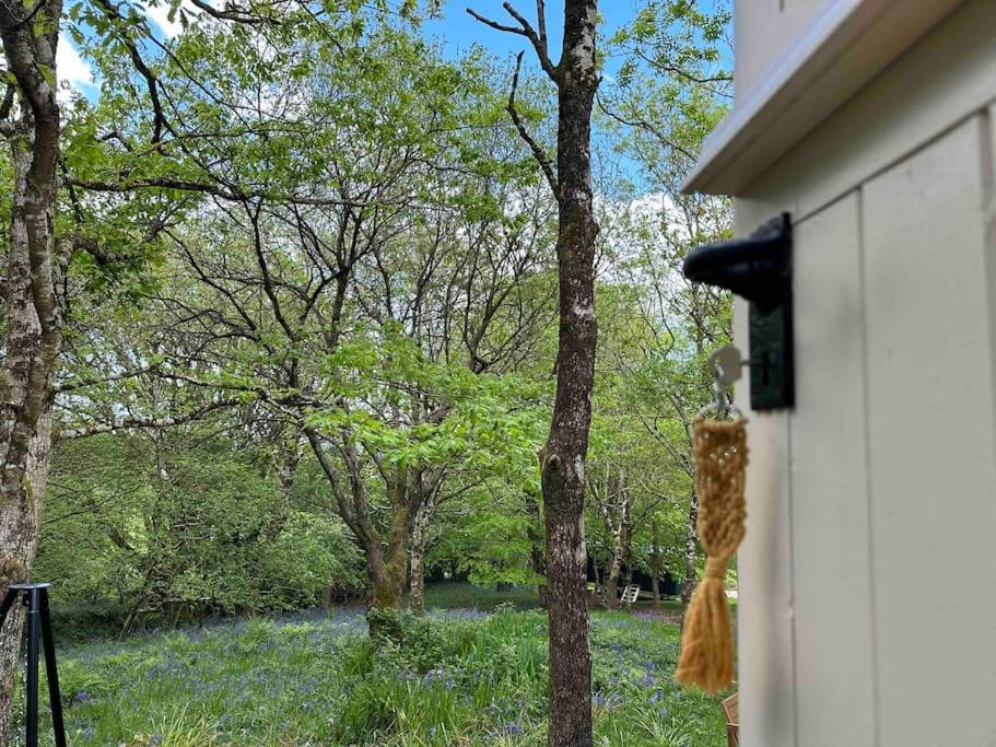 Cornwall Woodland Shepherd'S Hut - Dennis Hut Bodmin Luaran gambar