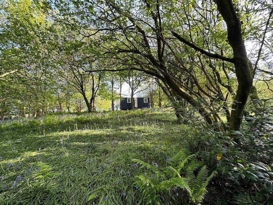 Cornwall Woodland Shepherd'S Hut - Dennis Hut Bodmin Luaran gambar